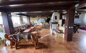 Pensiunea Cerbul Carpatin